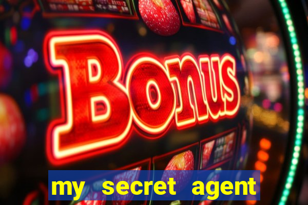 my secret agent husband legendado