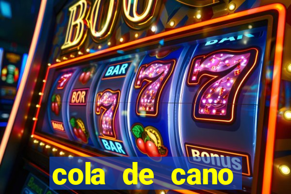 cola de cano quanto tempo para secar