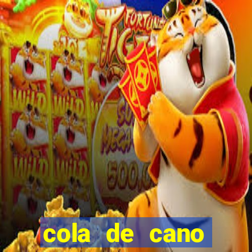 cola de cano quanto tempo para secar
