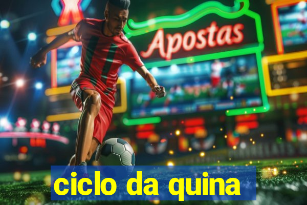 ciclo da quina