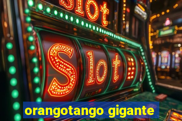 orangotango gigante