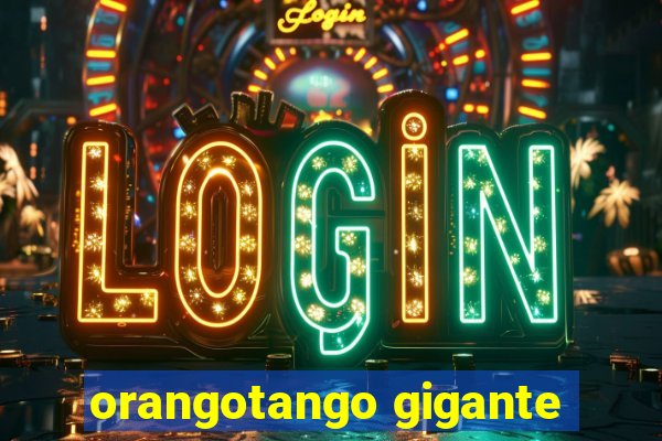 orangotango gigante