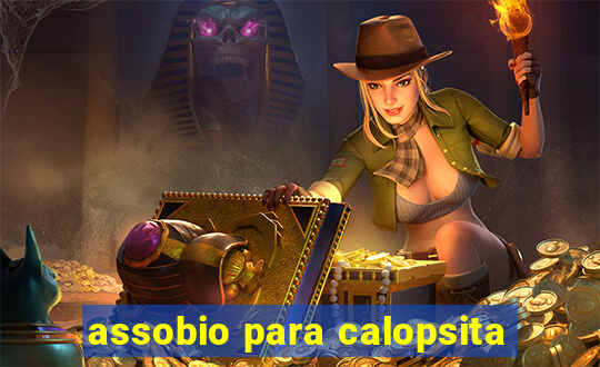 assobio para calopsita