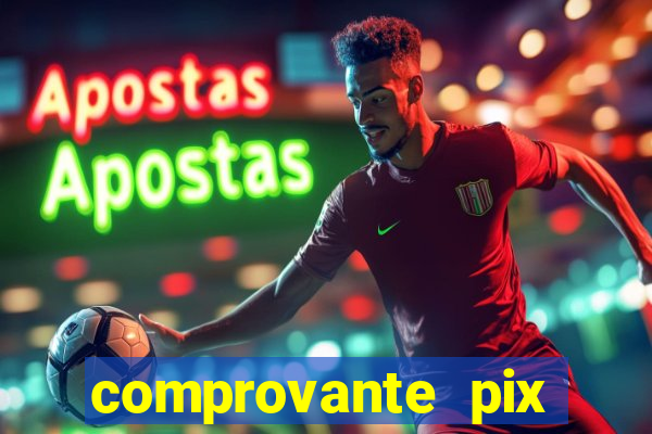 comprovante pix fake meme