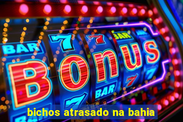 bichos atrasado na bahia