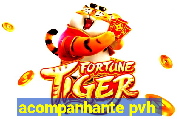 acompanhante pvh