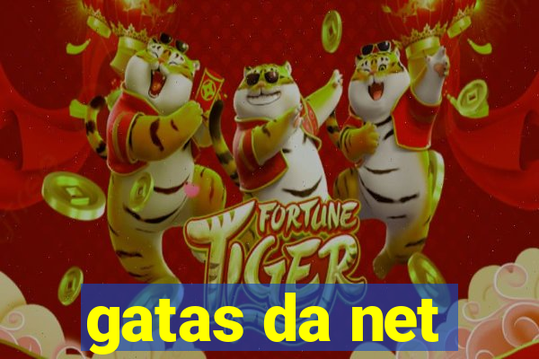 gatas da net
