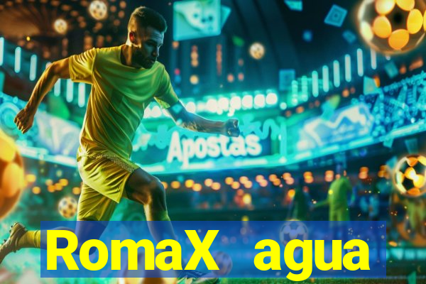 RomaX agua sanitaria fispq agua sanitaria romax
