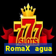 RomaX agua sanitaria fispq agua sanitaria romax
