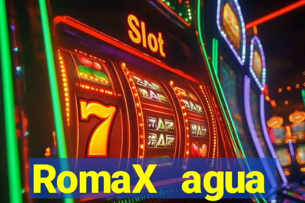 RomaX agua sanitaria fispq agua sanitaria romax