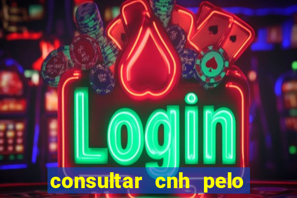 consultar cnh pelo cpf sp