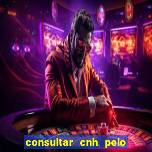 consultar cnh pelo cpf sp