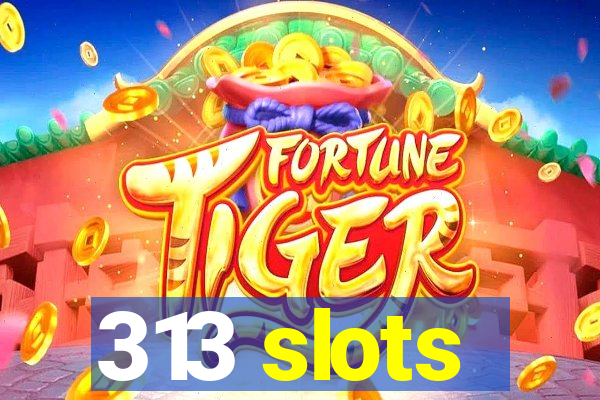 313 slots