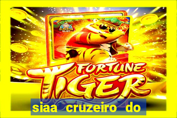 siaa cruzeiro do sul aluno
