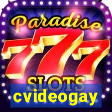 cvideogay