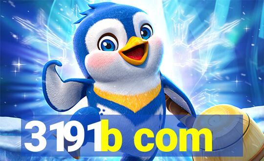 3191b com