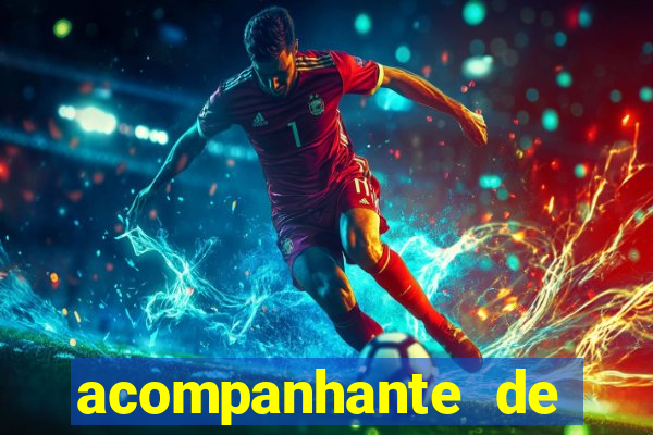 acompanhante de porto feliz