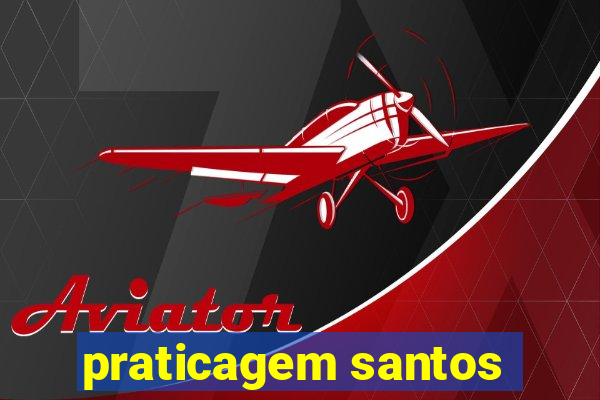 praticagem santos
