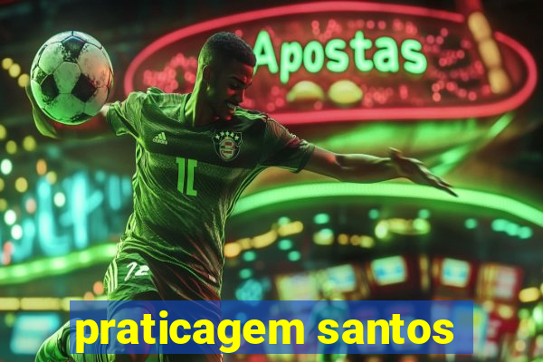 praticagem santos