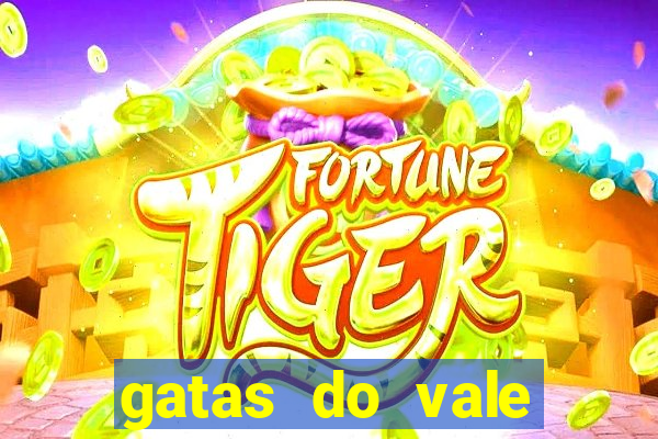gatas do vale juazeiro ba