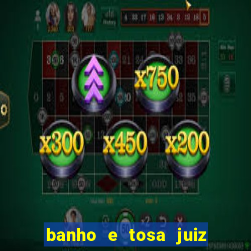 banho e tosa juiz de fora