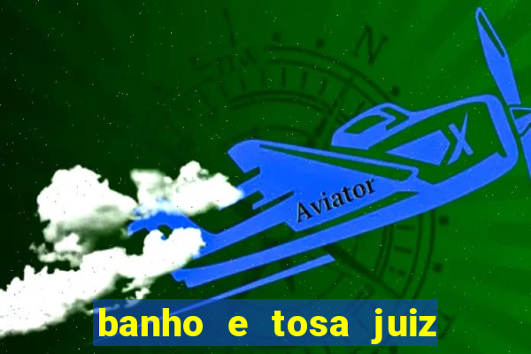 banho e tosa juiz de fora