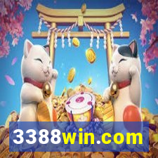 3388win.com