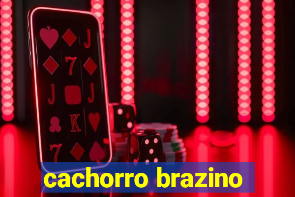 cachorro brazino