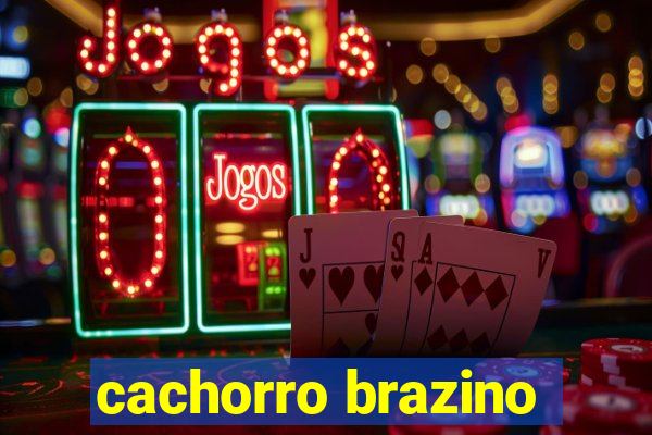 cachorro brazino