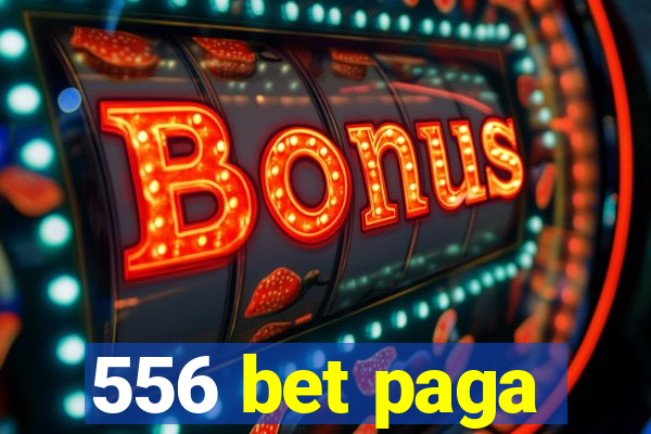 556 bet paga