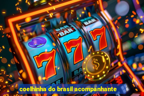 coelhinha do brasil acompanhante
