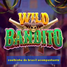 coelhinha do brasil acompanhante