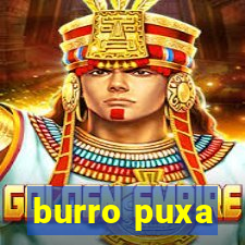 burro puxa