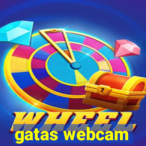 gatas webcam