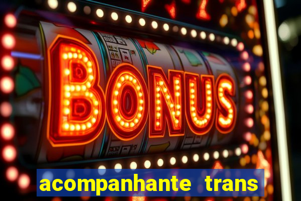 acompanhante trans porto seguro