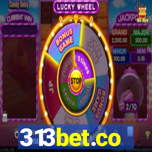 313bet.co