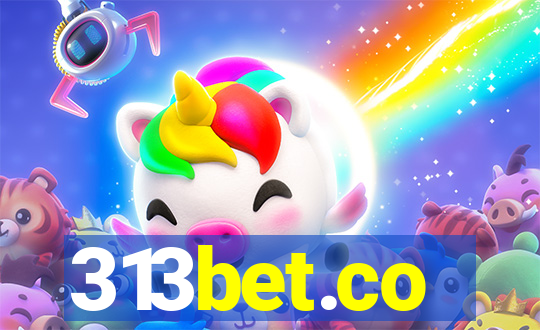 313bet.co