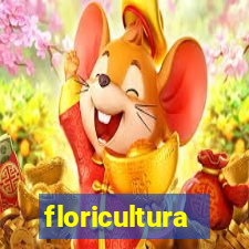 floricultura juazeiro bahia