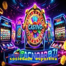 sociedade esportiva palmeiras x botafogo futemax