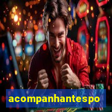 acompanhantesportovelho