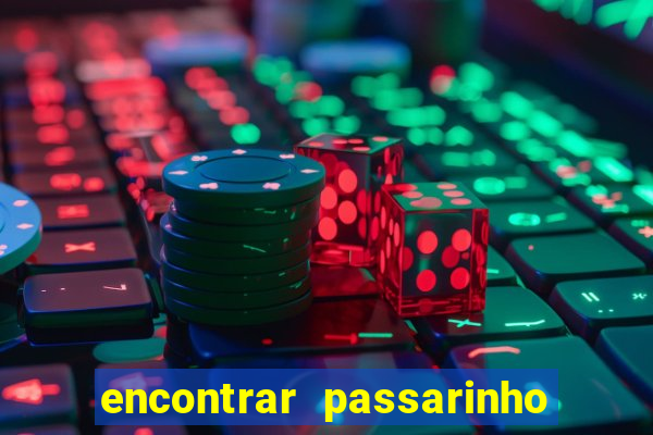 encontrar passarinho morto significado