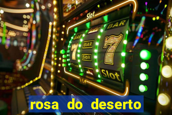 rosa do deserto lilac frost