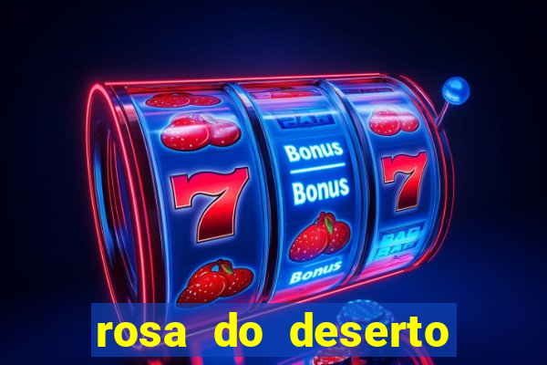 rosa do deserto lilac frost