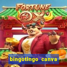 bingotingo canva pro gratis