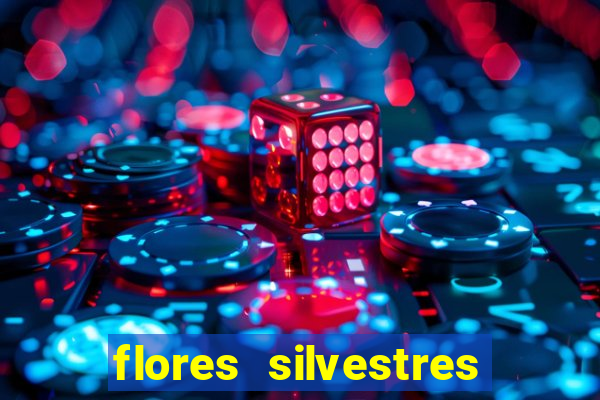 flores silvestres desbravadores desbravadores 25