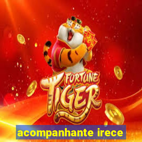 acompanhante irece