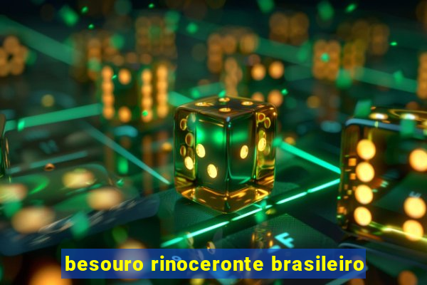besouro rinoceronte brasileiro