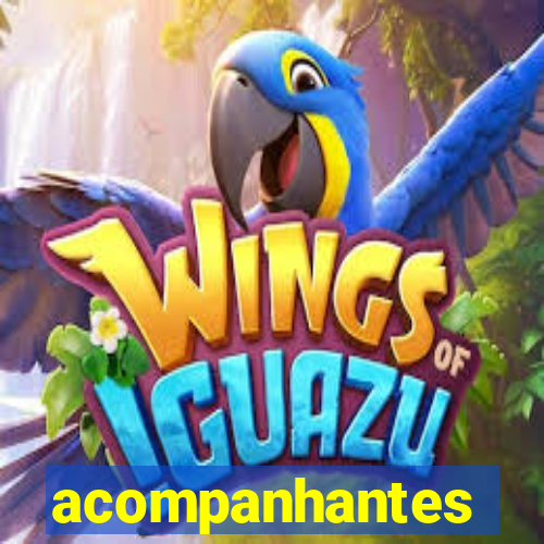 acompanhantes gordinhas santos