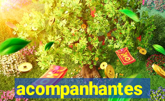 acompanhantes gordinhas santos