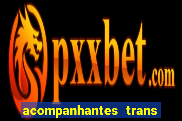 acompanhantes trans baixada fluminense